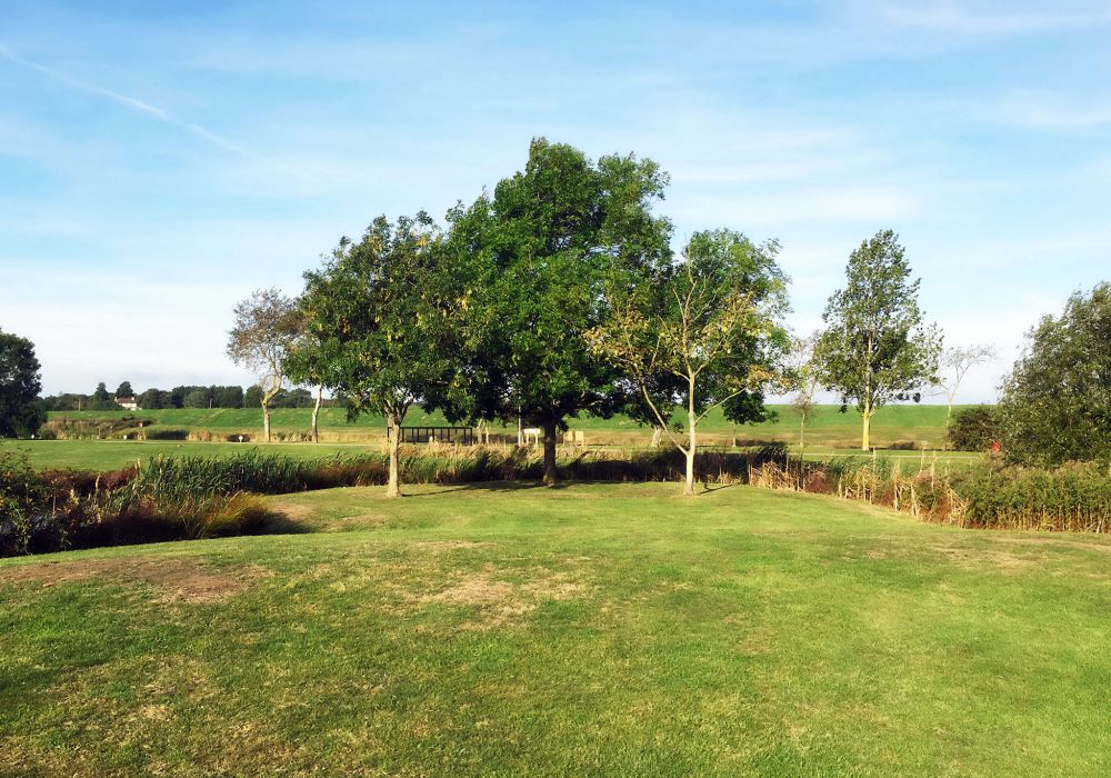 Barn Owl Touring Campsite Pitches